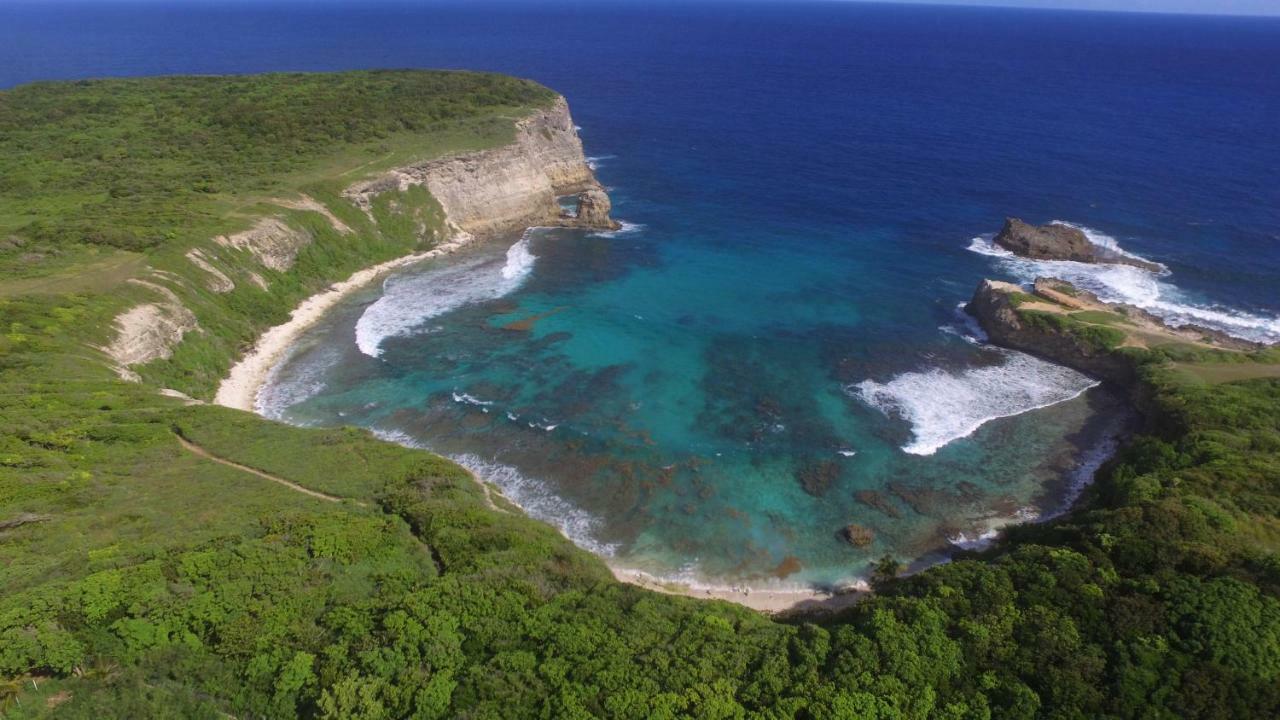 Les Z'Alizes Villa Le Moule Eksteriør bilde